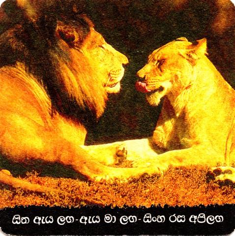 biyagama w-cl lion lion quad 1b (185-lwe und lwin)